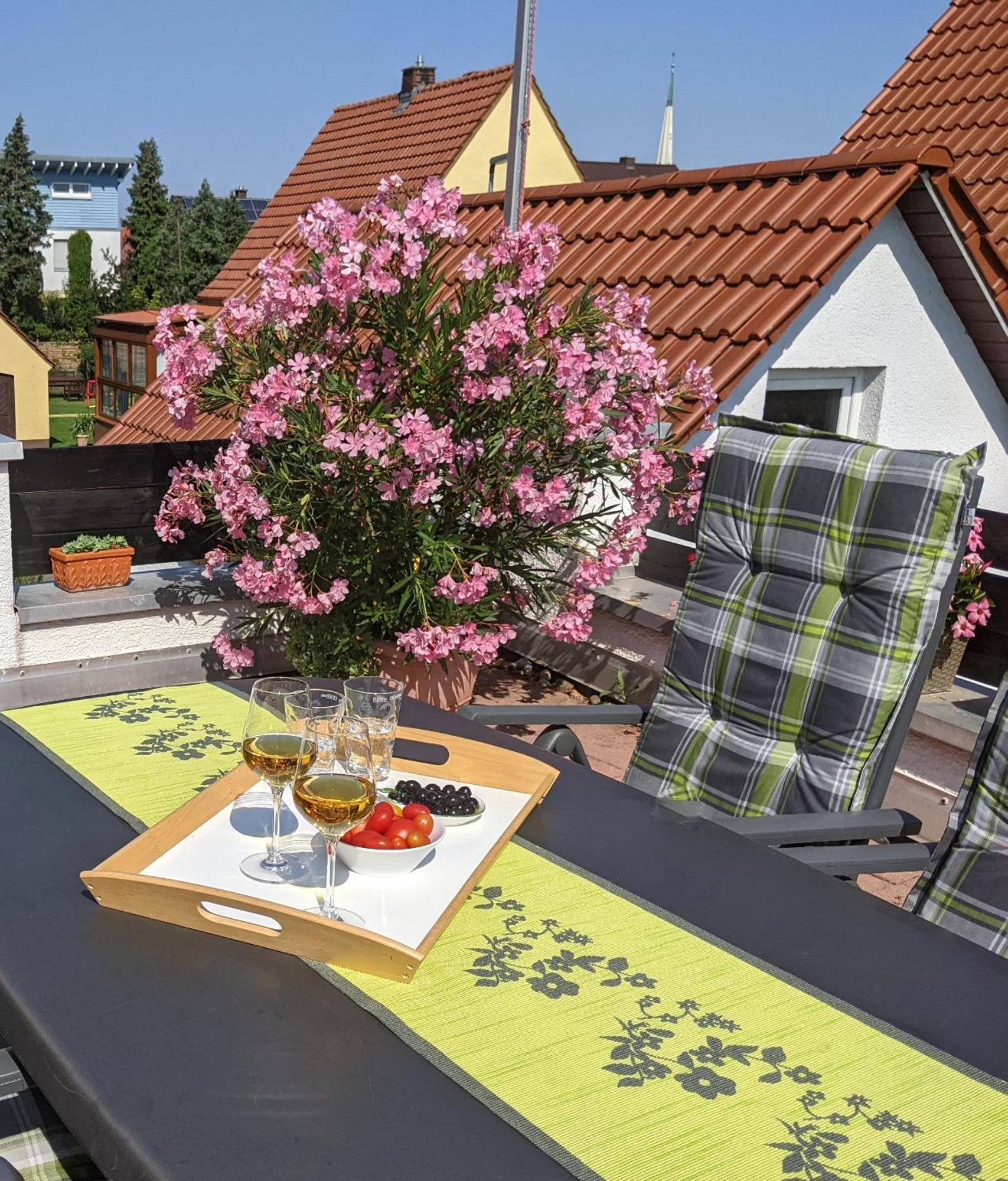 Hortensie Špýr Exteriér fotografie